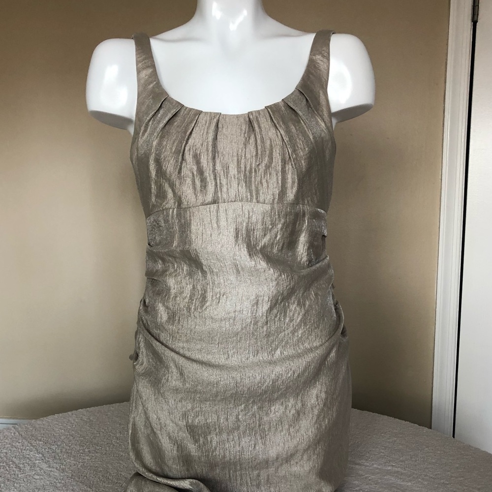 Suzi Chin for Maggie Boutique Dress